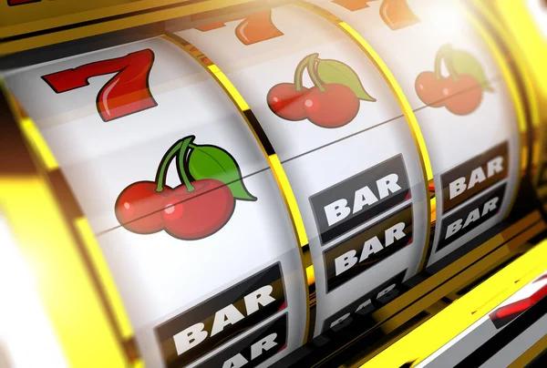 Getting Familiar With the Wildies Casino Platform